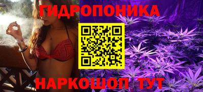 СК Бузулук